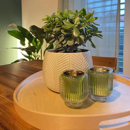 The Relaxed * Oberursel