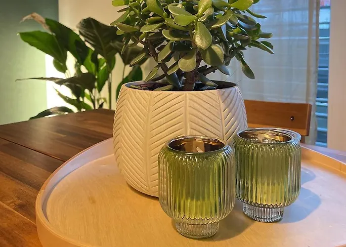 The Relaxed * Oberursel